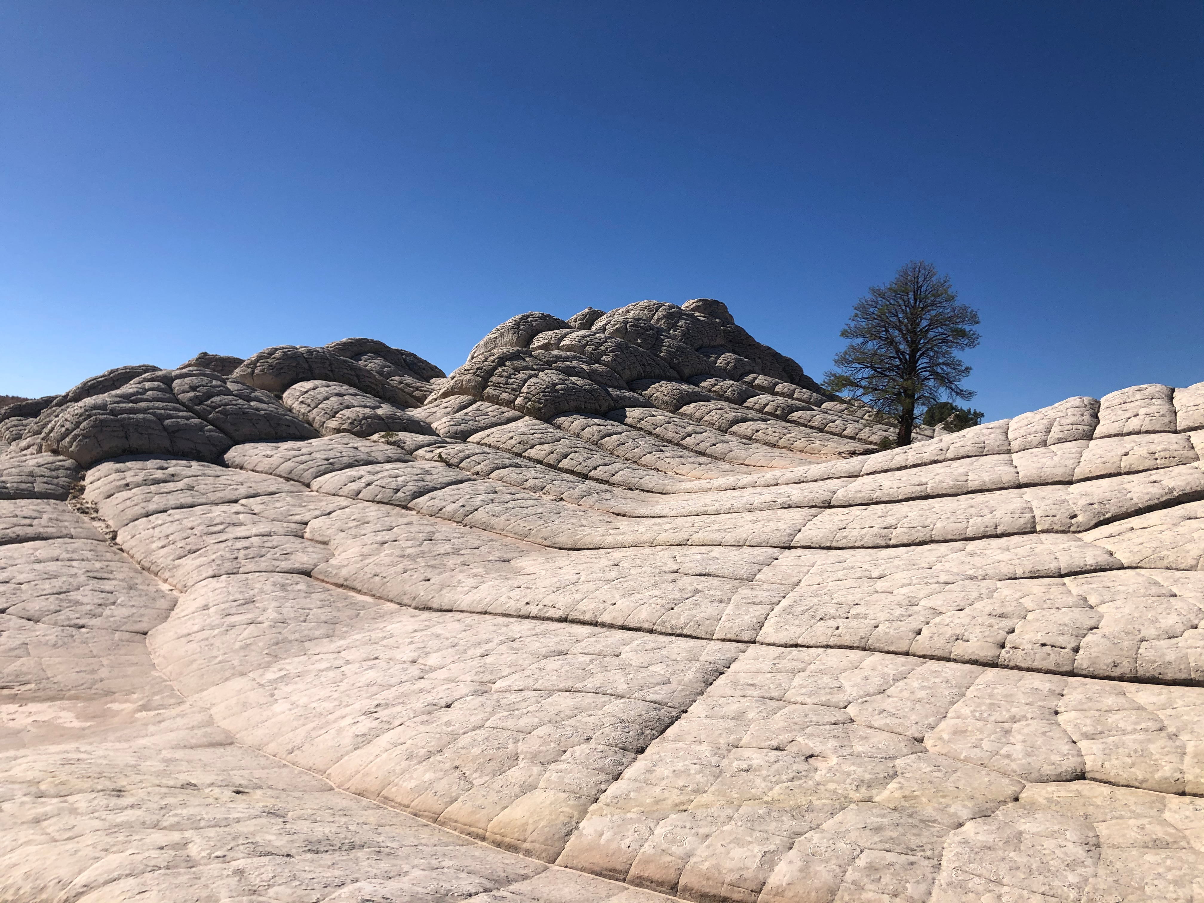 Vermillion Cliffs NM